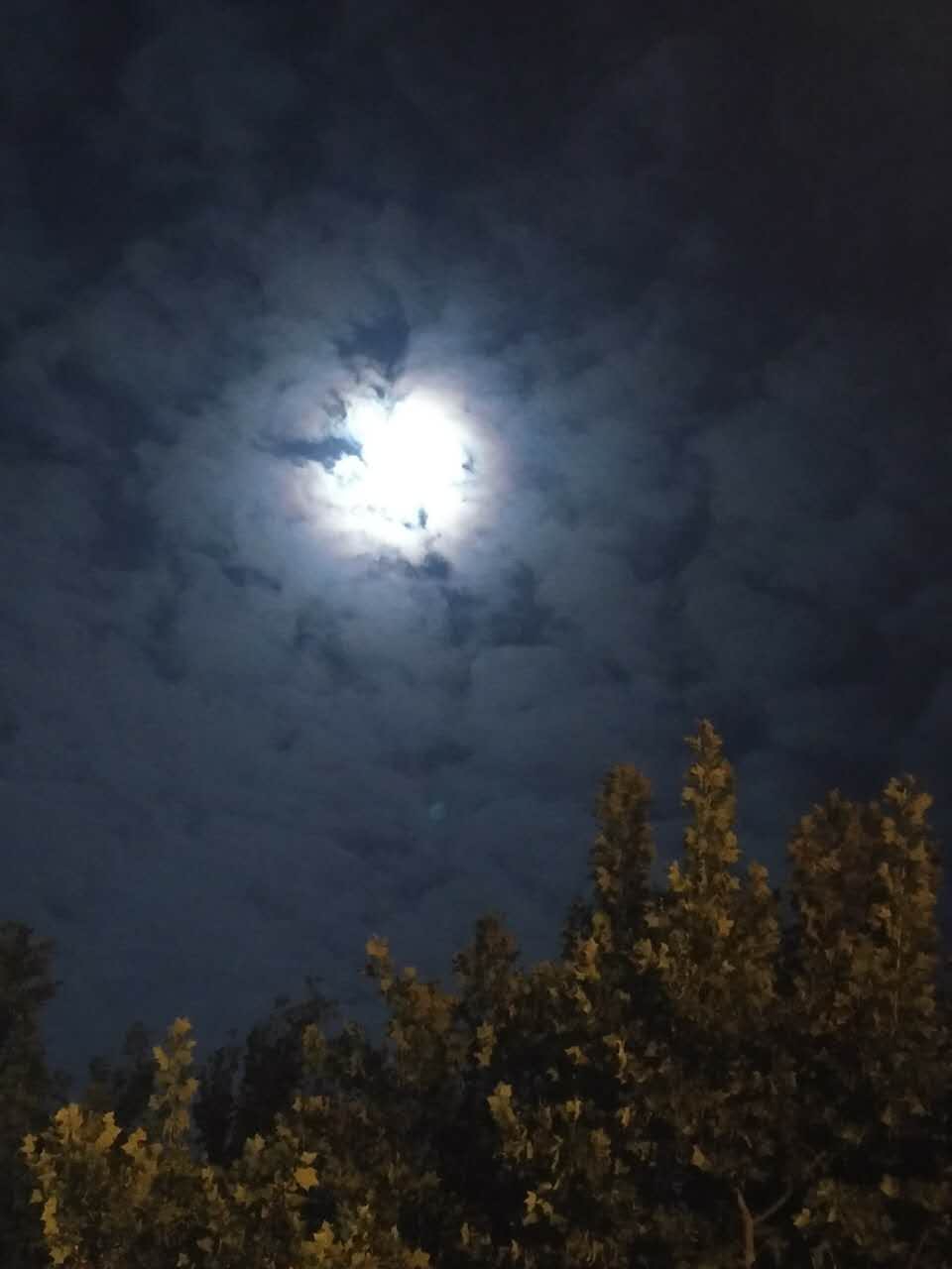 webwxgetmsgimg (7).jpg