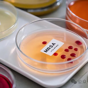 日间手术患者：MRSA 筛查的必要性之思